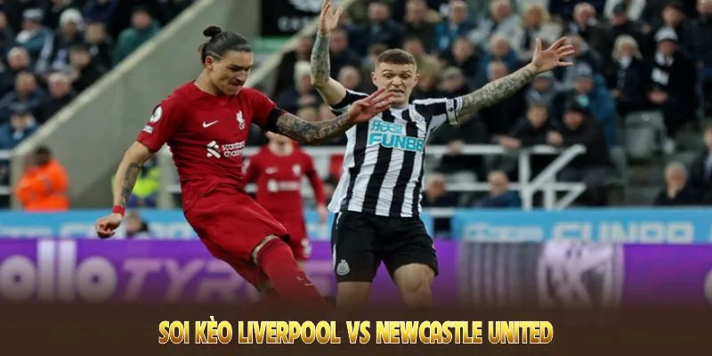 soi kèo liverpool vs newcastle united tại caheo tv