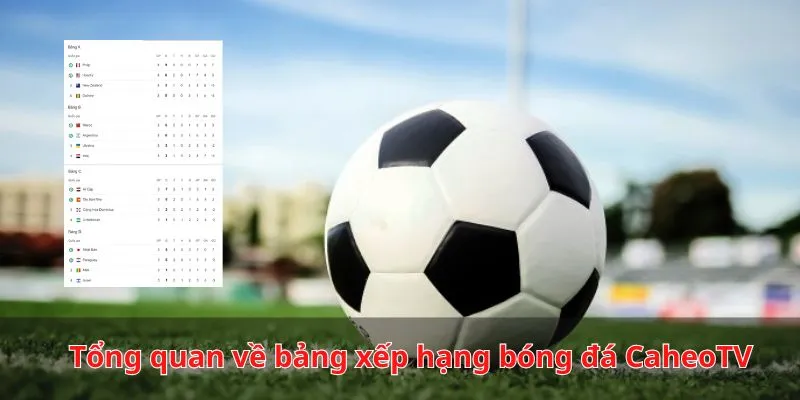 Tổng quan về bảng thứ hạng bóng đá tại Cá Heo TV