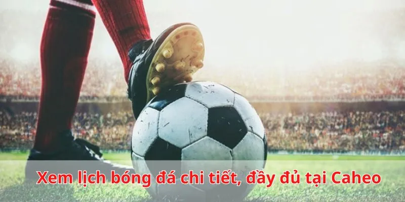 Xem lịch bóng đá đầy đủ của từng giải đấu qua các mùa giải mới